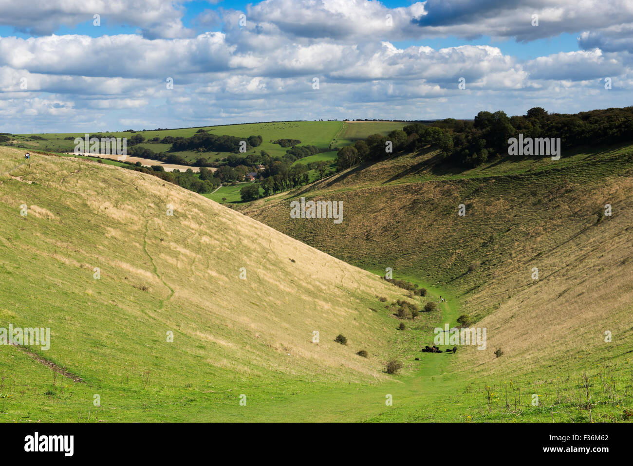 Die trockene Kreide Tal des Teufels Dyke auf den South Downs nördlich von Brighton, West Sussex, UK Stockfoto