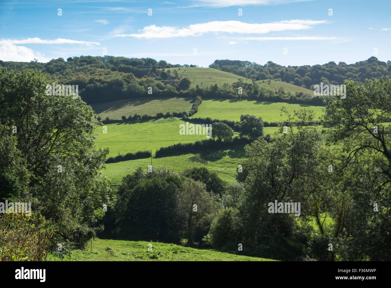 Slad ist ein Dorf in den Cotswolds, in der Nähe Painswick und Stroud Gloucestershire, Großbritannien. Die Heimat von Fomerly Autor Laurie Lee, Apfelwein mit Rosie schrieb. Stockfoto