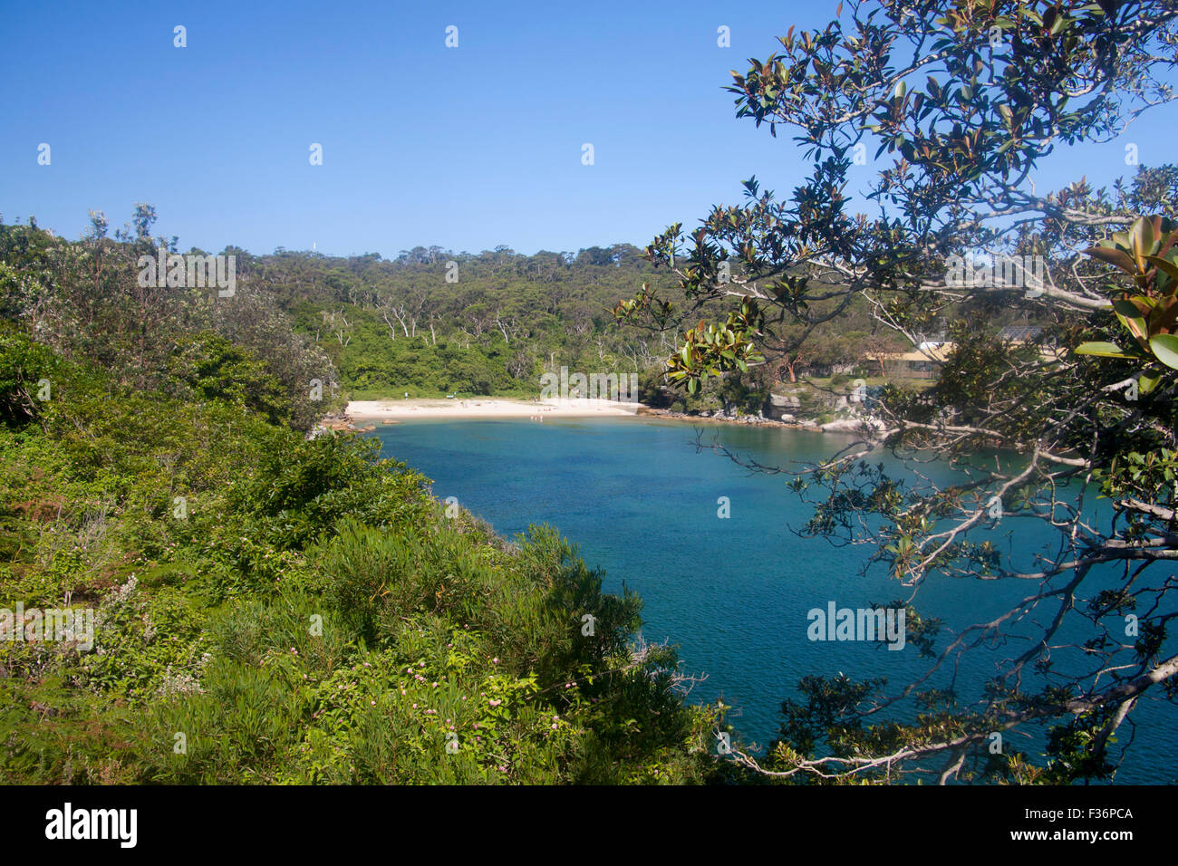 Collins Strand Frühjahr Bucht in der Nähe von Manly North Harbour Sydney New South Wales NSW Australia Stockfoto