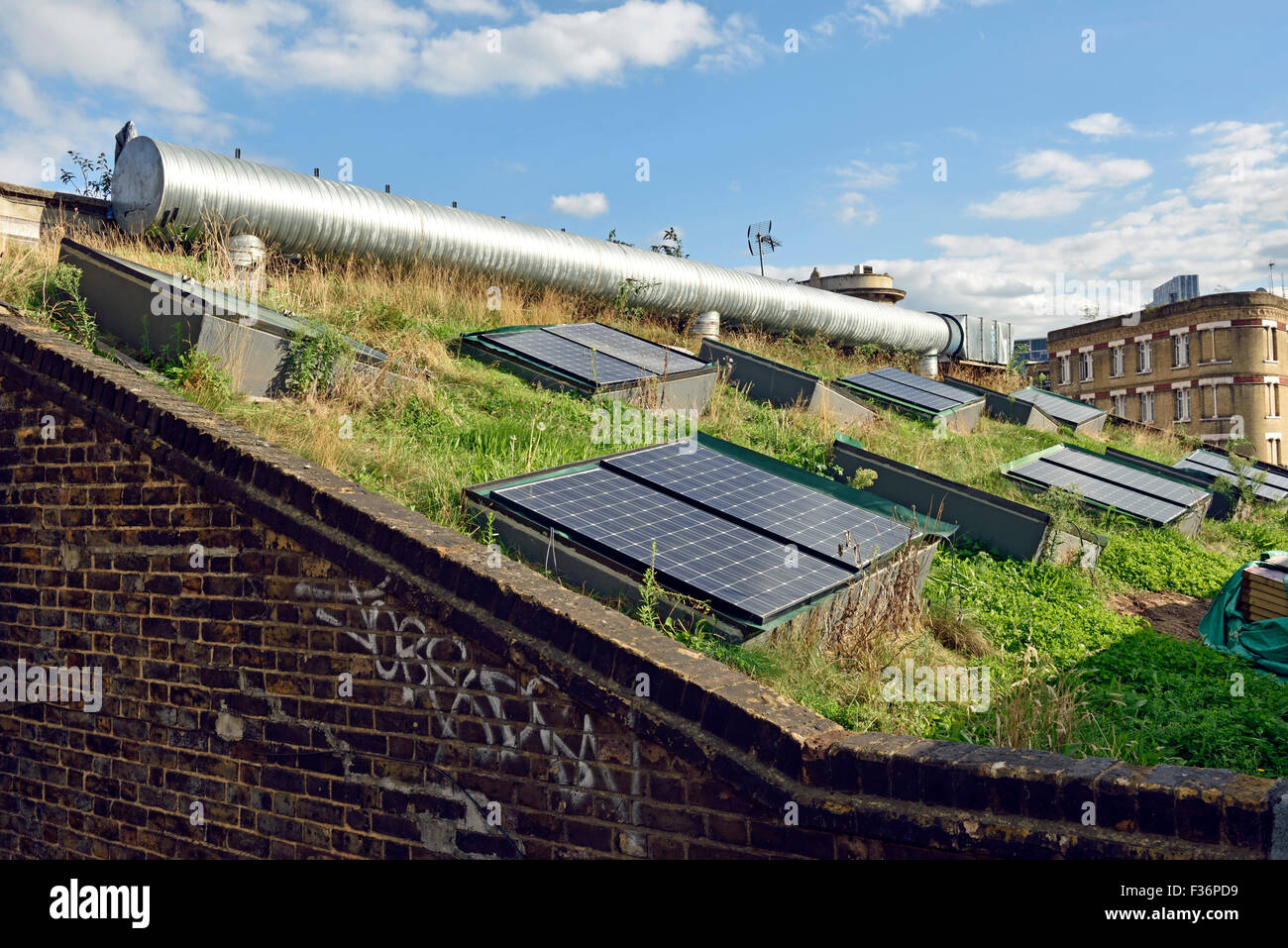 Solar-Panels eingelassene Gründach, Shoreditch, London Borough of Hackney, England UK Stockfoto