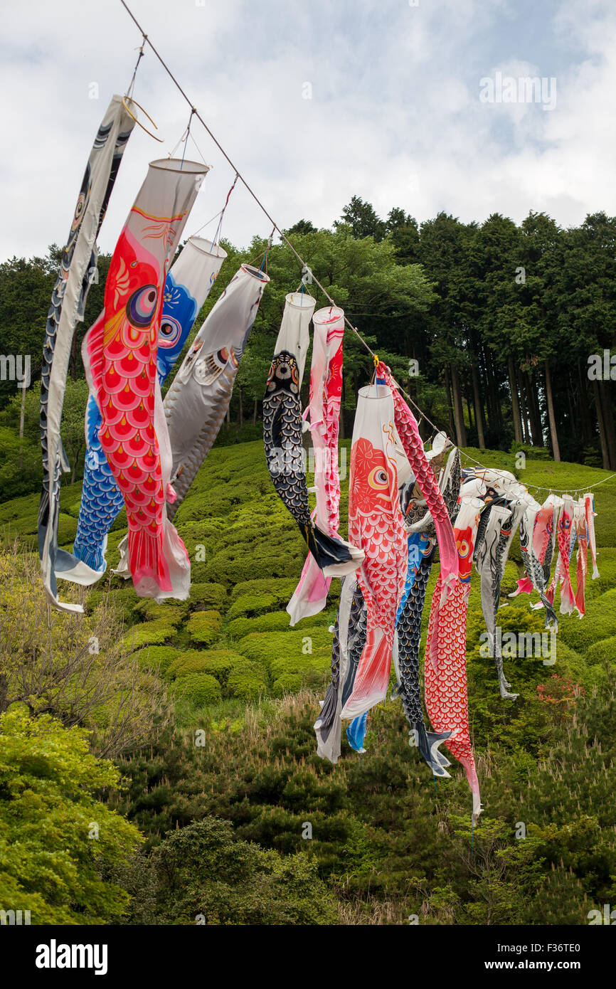 Bunte Vielfalt von Koinobori Fisch Drachen hängen an einem Draht mit grünen Wald im Hintergrund Stockfoto