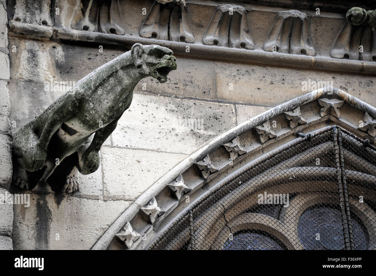 Wasserspeier an Notre Dame, Paris, Frankreich Stockfoto
