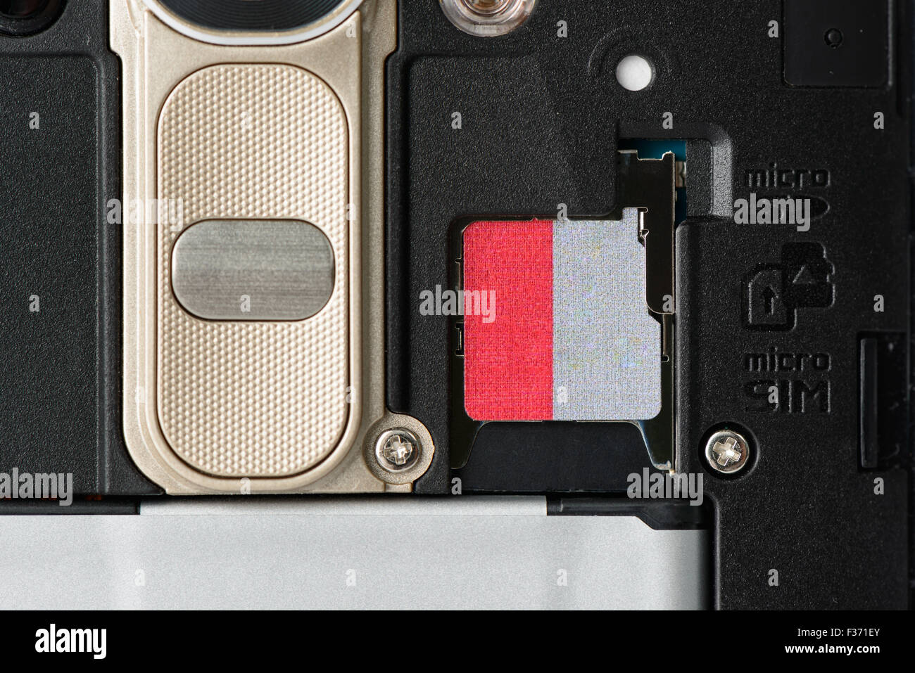 Nahaufnahme von SD-Speicherkarten-Steckplatz auf der Rückseite des Smartphones Stockfoto