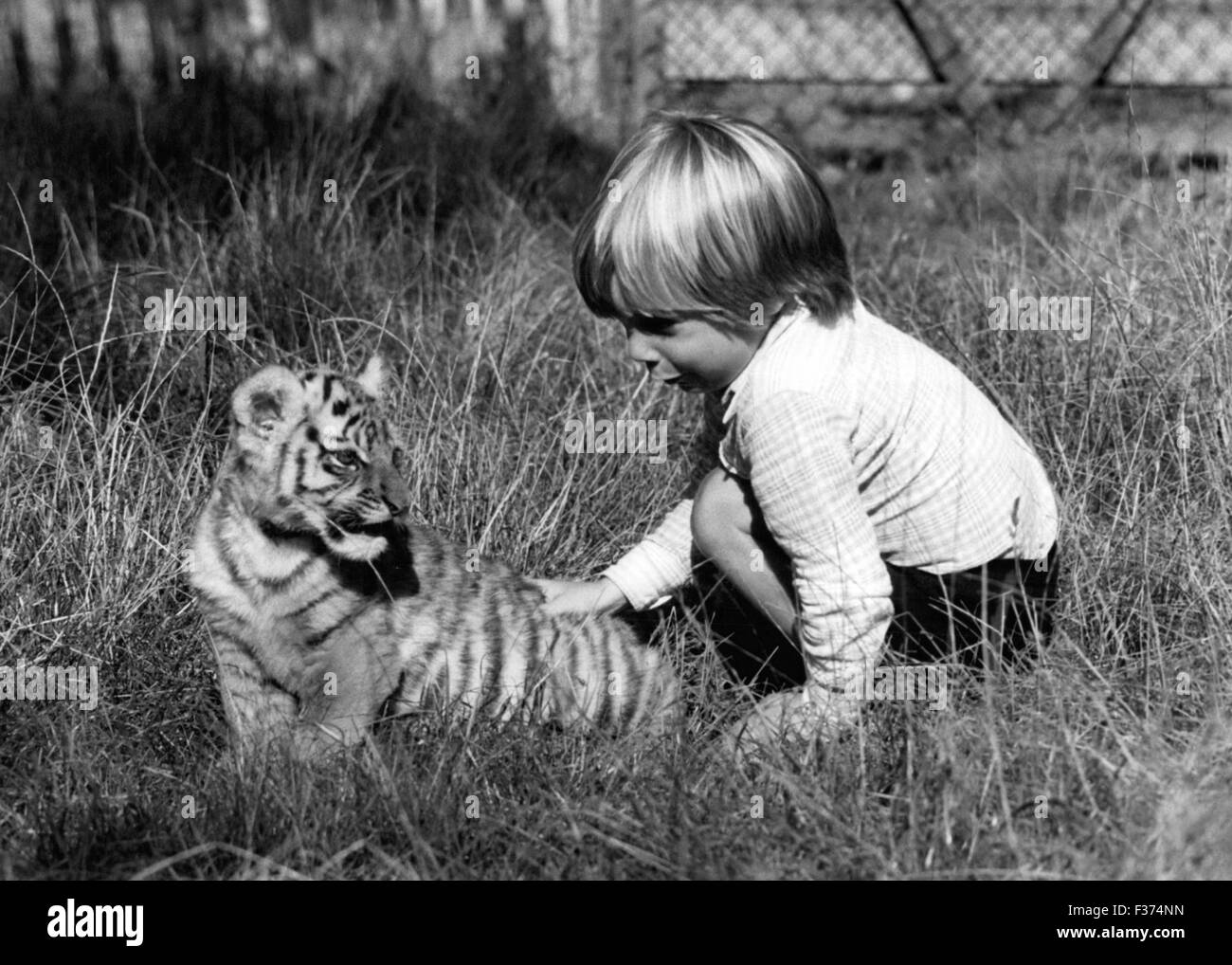26. Dezember 1974 - John Aspinall Sohn Bassa, spielt mit einem Nebelparder Cub auf dem Gelände des Howletts schöne Zoo Park in Antebury. © Keystone Bilder USA/ZUMAPRESS.com/Alamy Live-Nachrichten Stockfoto