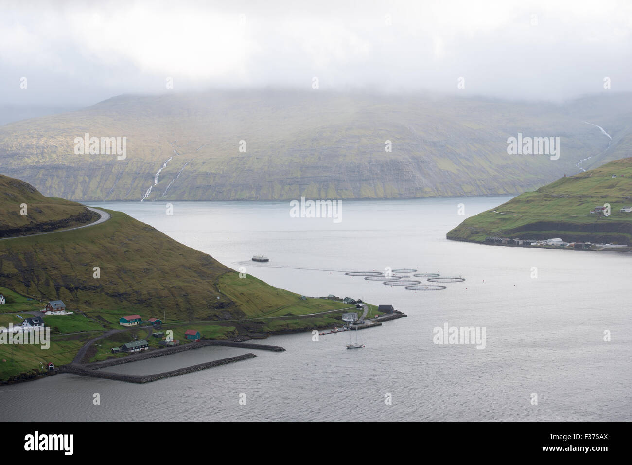 Lachszucht in der Bucht von Vestmanna auf den Färöer Inseln Stockfoto