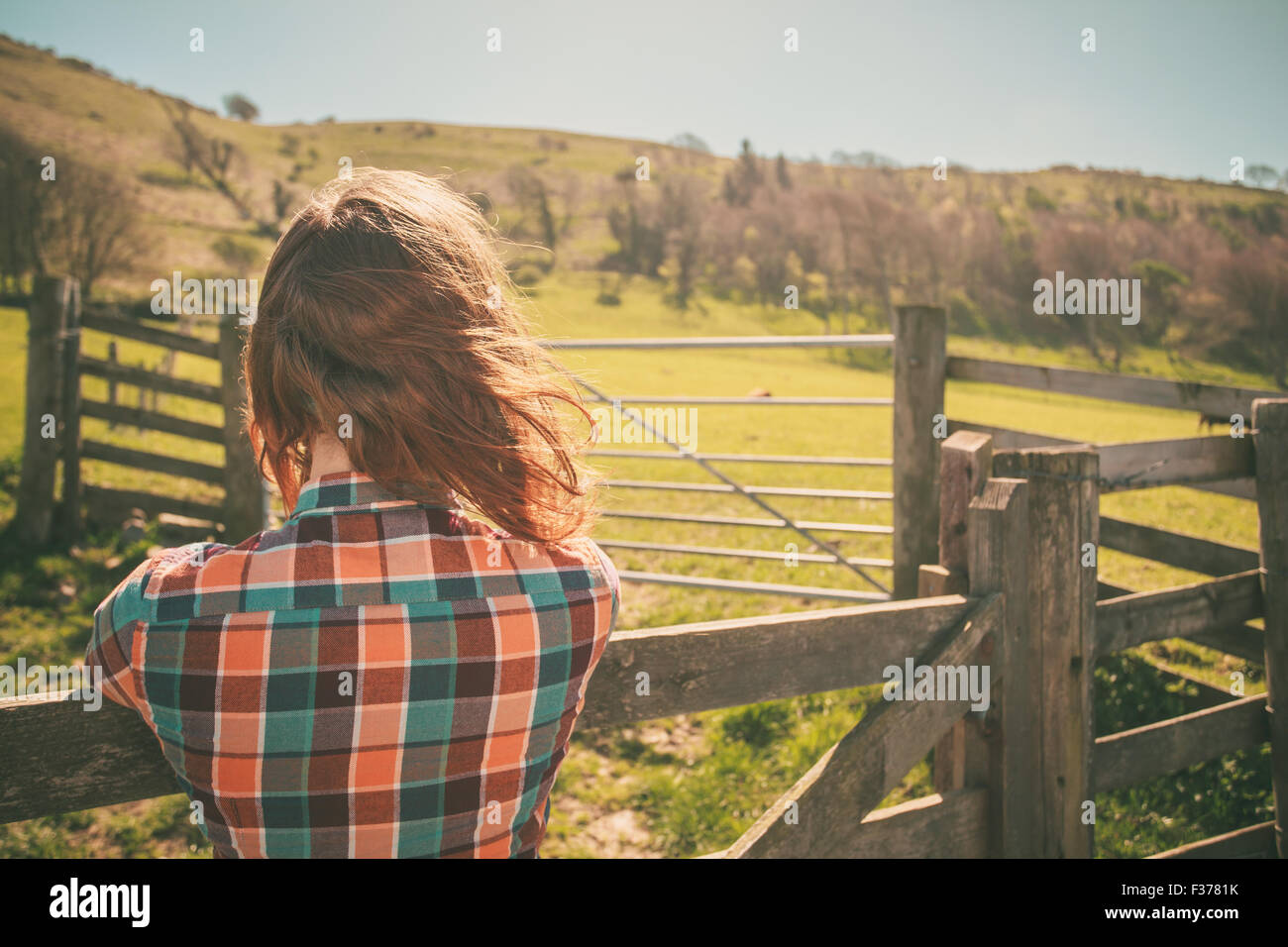 Junge Frau ist von einem Zaun auf einer Ranch mit Rindern in der Ferne stehen. Stockfoto