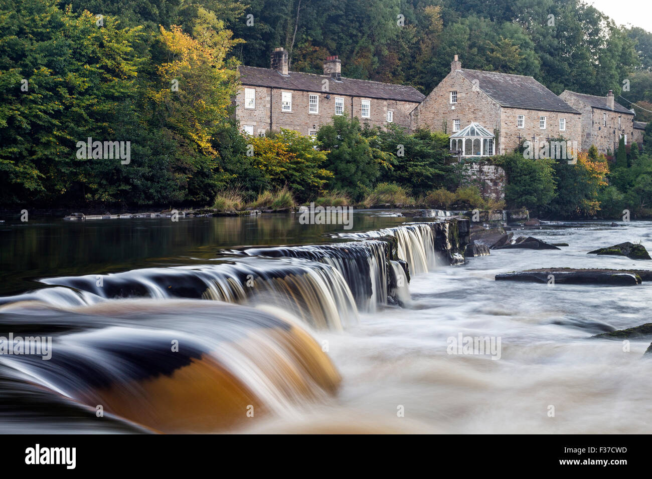 River Tees, Barnard Castle, Teesdale, County Durham.  Donnerstag, 1. Oktober 2015, UK Wetter.  Die ersten Anzeichen des Herbstes erscheinen auf den Bäumen rund um die Erziehungsunterrichten Mühle am Fluss Tees in Barnard Castle.  Im Allgemeinen war es eine kalte Start in den Tag für Nordengland mit einigen Teilen Frost erleben.  Temperaturen sind erwartete Erholung im Laufe des morgens und es wird voraussichtlich eine weitere schöne Herbsttag. Bildnachweis: David Forster/Alamy Live-Nachrichten Stockfoto