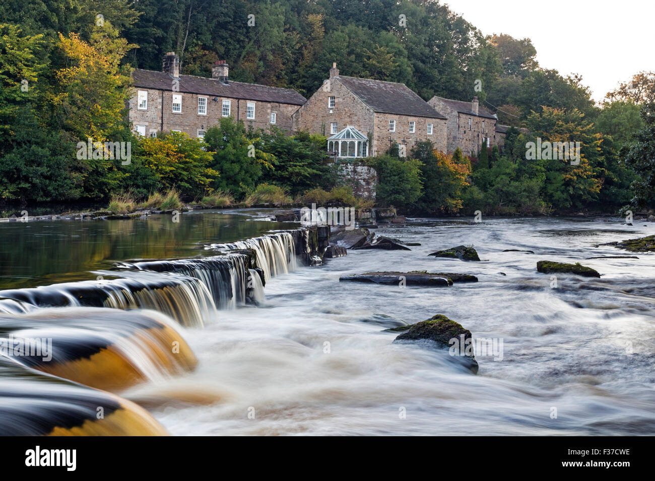 River Tees, Barnard Castle, Teesdale, County Durham.  Donnerstag, 1. Oktober 2015, UK Wetter.  Die ersten Anzeichen des Herbstes erscheinen auf den Bäumen rund um die Erziehungsunterrichten Mühle am Fluss Tees in Barnard Castle.  Im Allgemeinen war es eine kalte Start in den Tag für Nordengland mit einigen Teilen Frost erleben.  Temperaturen sind erwartete Erholung im Laufe des morgens und es wird voraussichtlich eine weitere schöne Herbsttag. Bildnachweis: David Forster/Alamy Live-Nachrichten Stockfoto