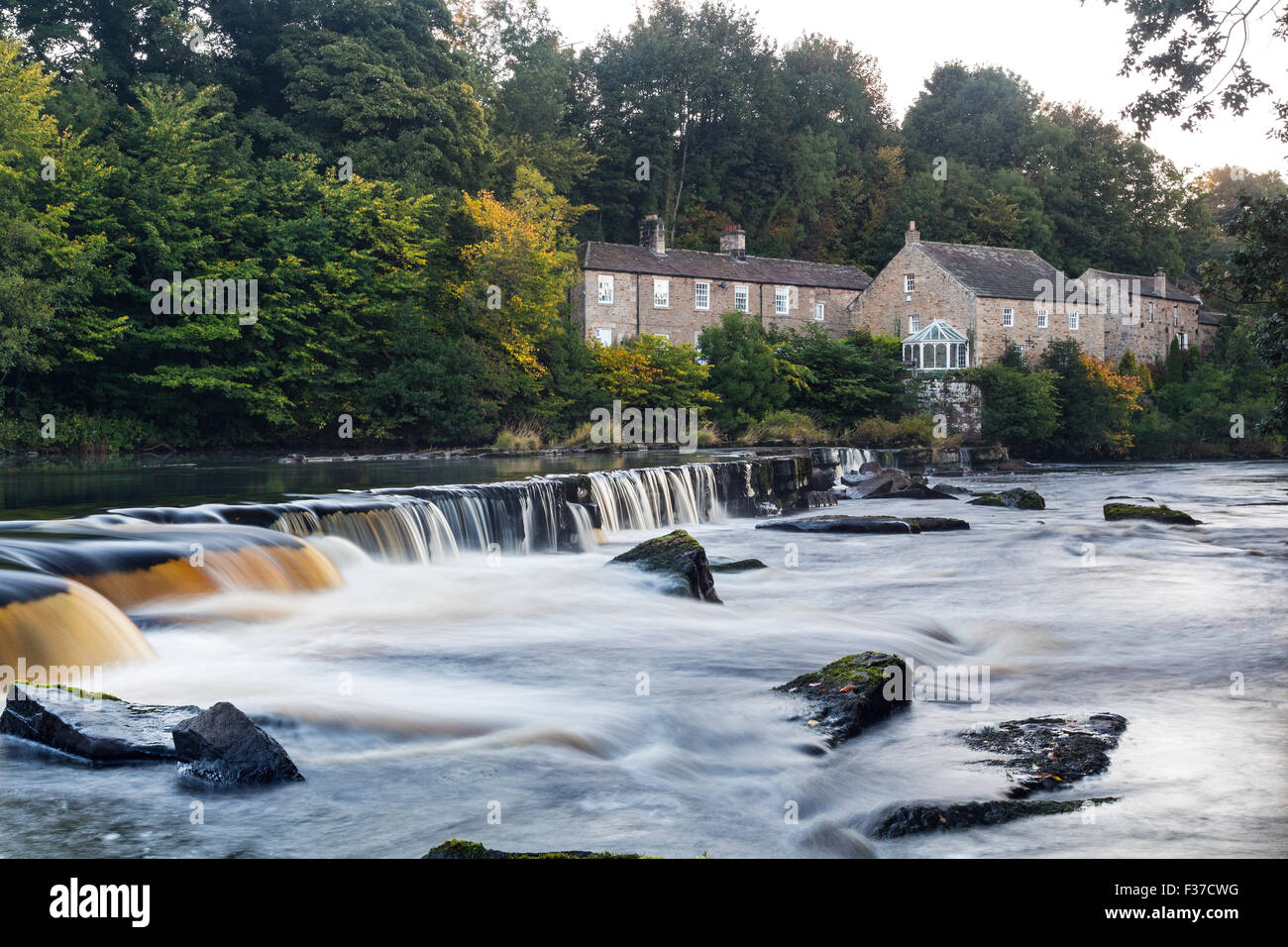 River Tees, Barnard Castle, Teesdale, County Durham.  Donnerstag, 1. Oktober 2015, UK Wetter.  Die ersten Anzeichen des Herbstes erscheinen auf den Bäumen rund um die Erziehungsunterrichten Mühle am Fluss Tees in Barnard Castle.  Im Allgemeinen war es eine kalte Start in den Tag für Nordengland mit einigen Teilen Frost erleben.  Temperaturen sind erwartete Erholung im Laufe des morgens und es wird voraussichtlich eine weitere schöne Herbsttag. Bildnachweis: David Forster/Alamy Live-Nachrichten Stockfoto