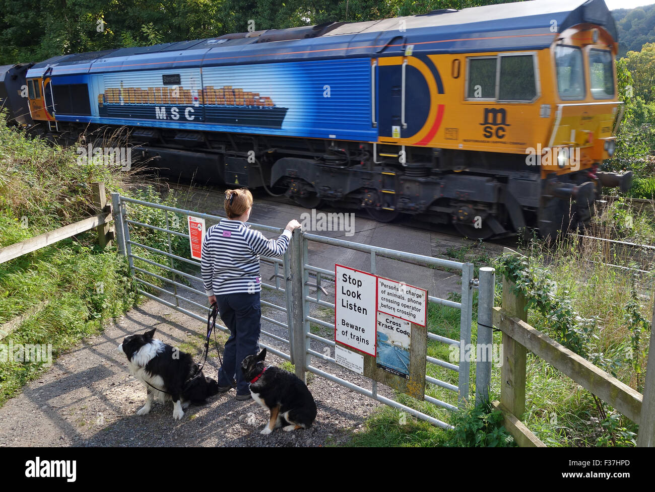 GB Railfreight Zug Züge unbemannte Bahnübergang bei Ironbridge Uk überqueren Fußgänger warten Stockfoto