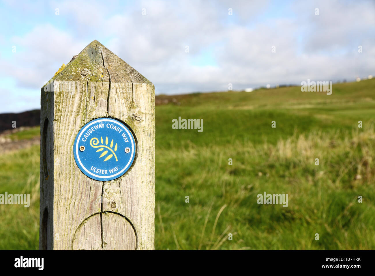 Causeway Coast Art Marker Post in der Nähe von Portstewart, Nordirland Stockfoto