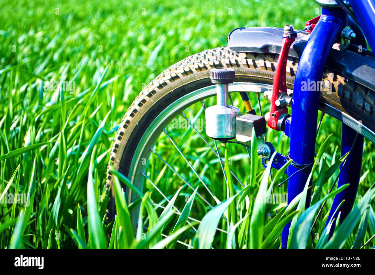 Sport und Natur im Sommer. Fahrrad auf der grünen Wiese mit Rasen im Sommer. Stockfoto