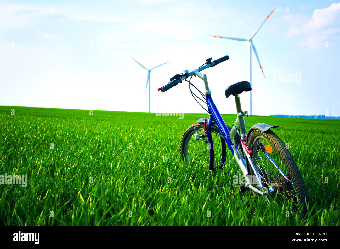 Sport und Natur im Sommer. Fahrrad auf der grünen Wiese mit Rasen im Sommer. Stockfoto