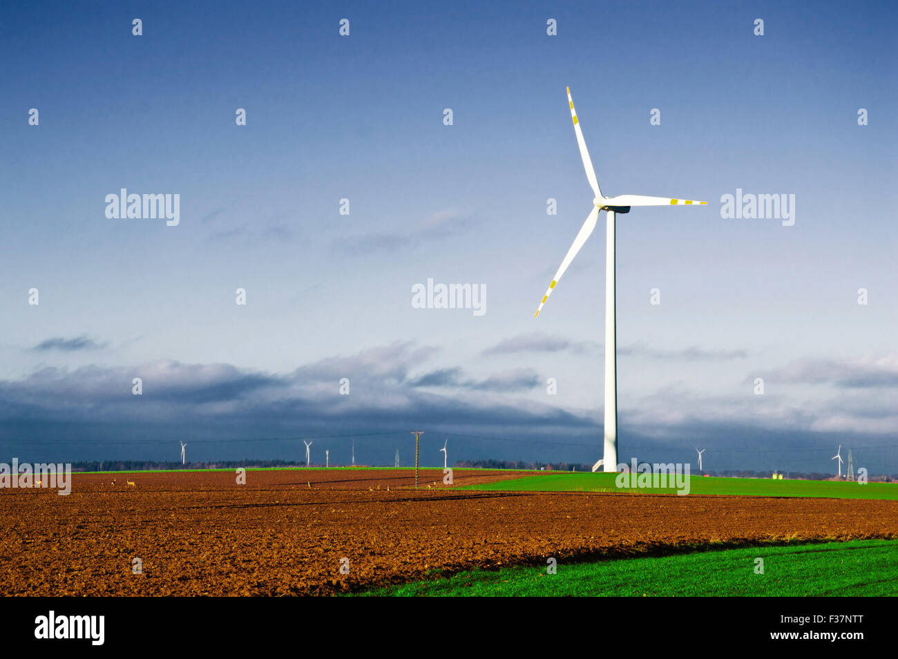 Windmühle auf dem Feld. Alternative Energien. Stockfoto