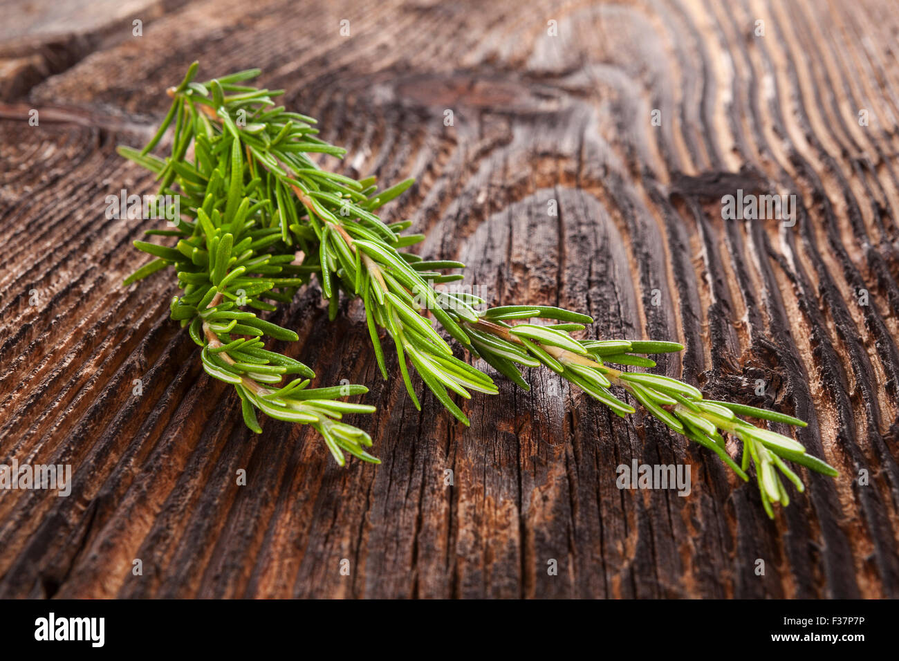 Frischer aromatischer Rosmarin Kraut auf hölzernen Hintergrund. Aromatisches Küchenkraut. Stockfoto