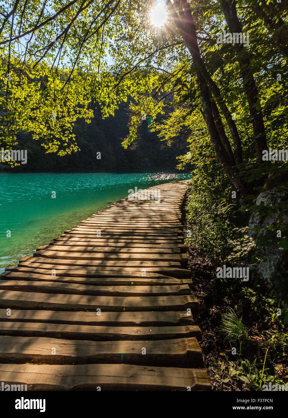 Tief im Wald Stream Pfad mit kristallklarem Wasser in der Sonne. Plitvicer Seen, Kroatien Stockfoto
