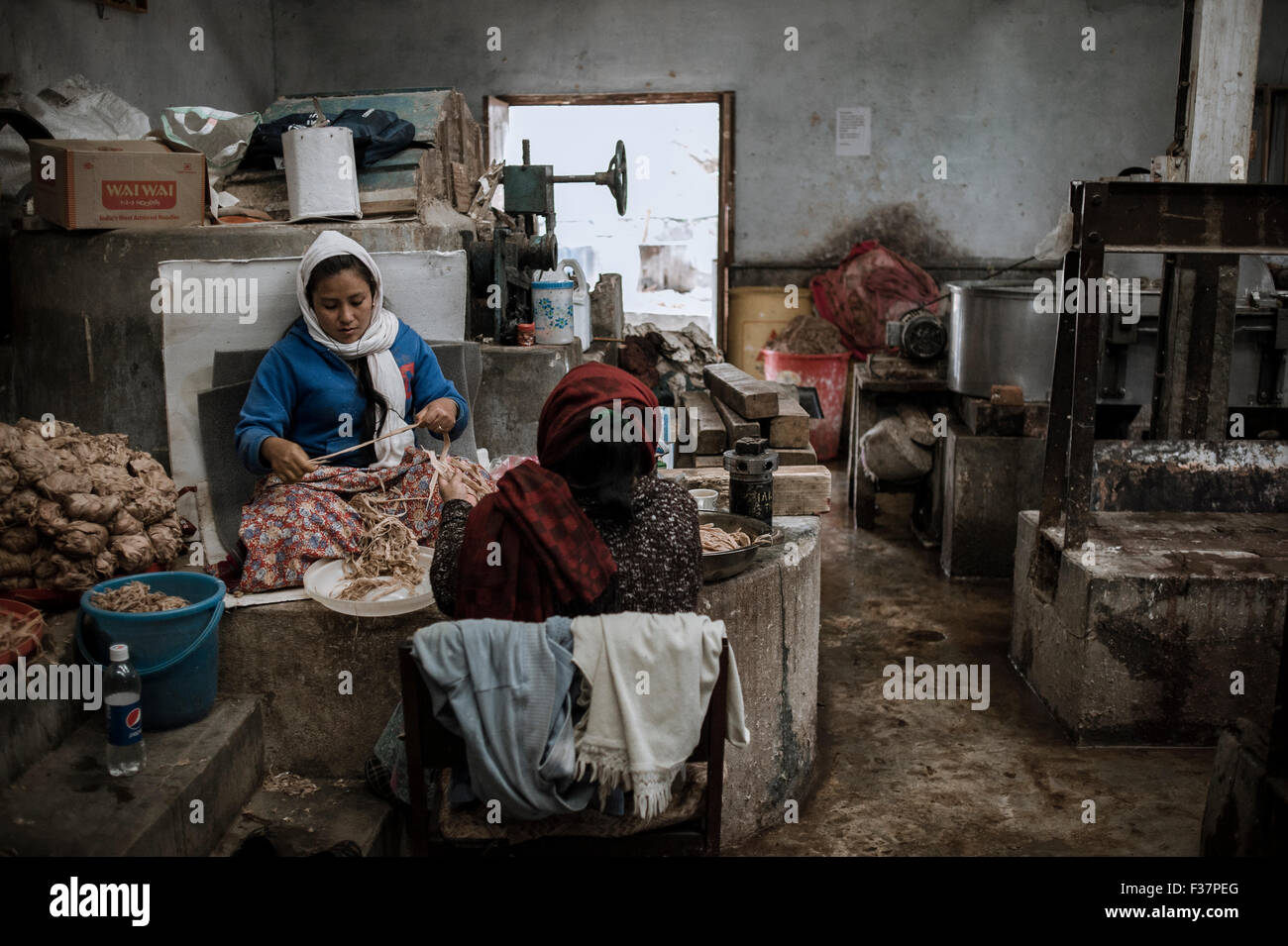 Jungshi Papierfabrik, Thimphu, Bhutan. Frau Streifen Baumrinde, handgeschöpftes Papier zu produzieren Stockfoto