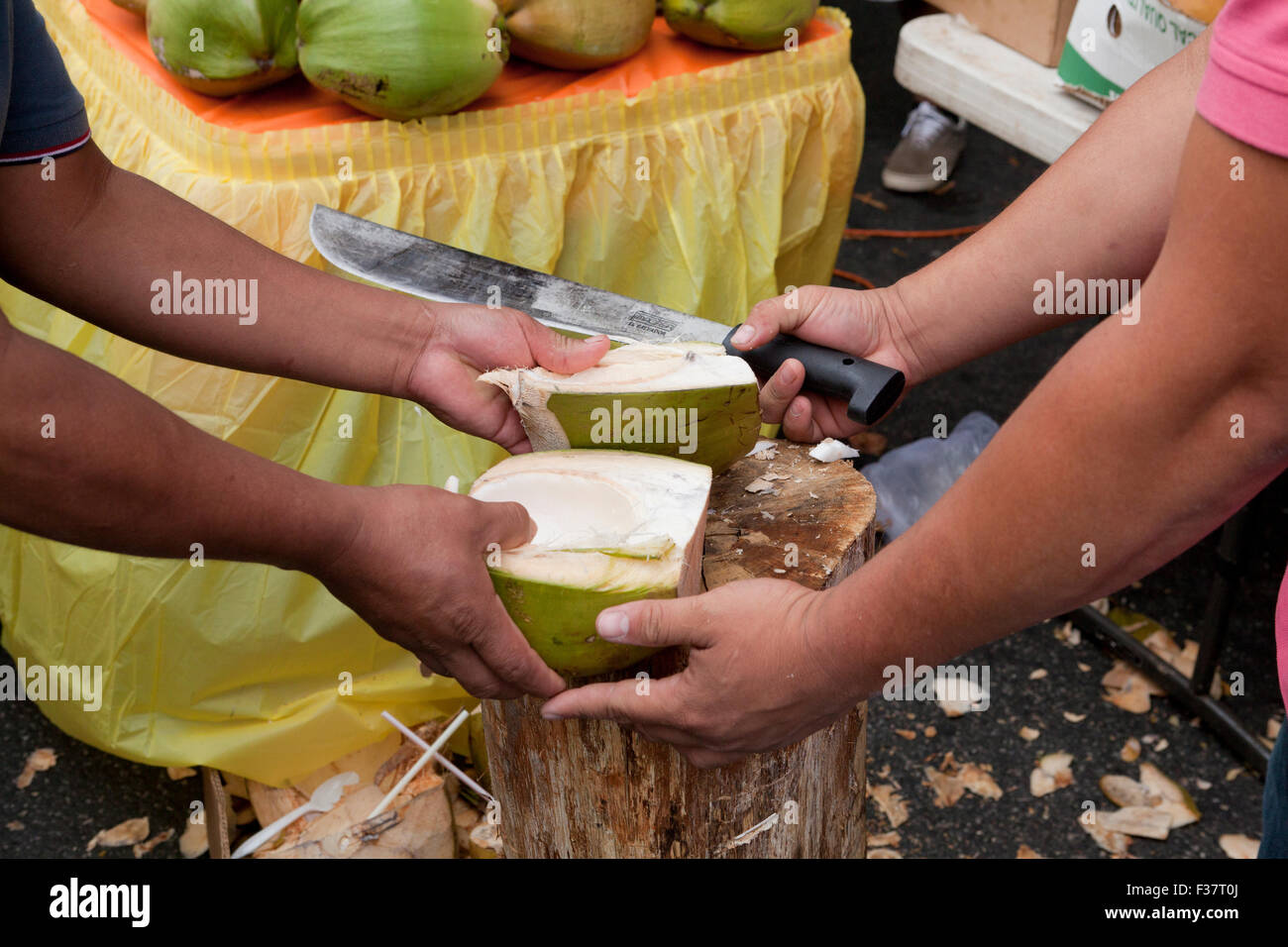 Menschen teilen eine frische Kokosnuss Stockfoto