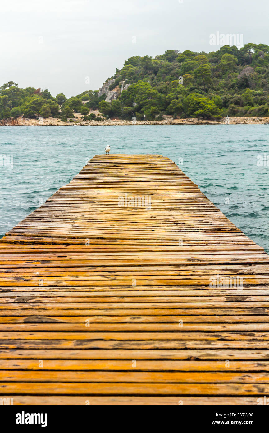 hölzerne Pier am Strand Stockfoto