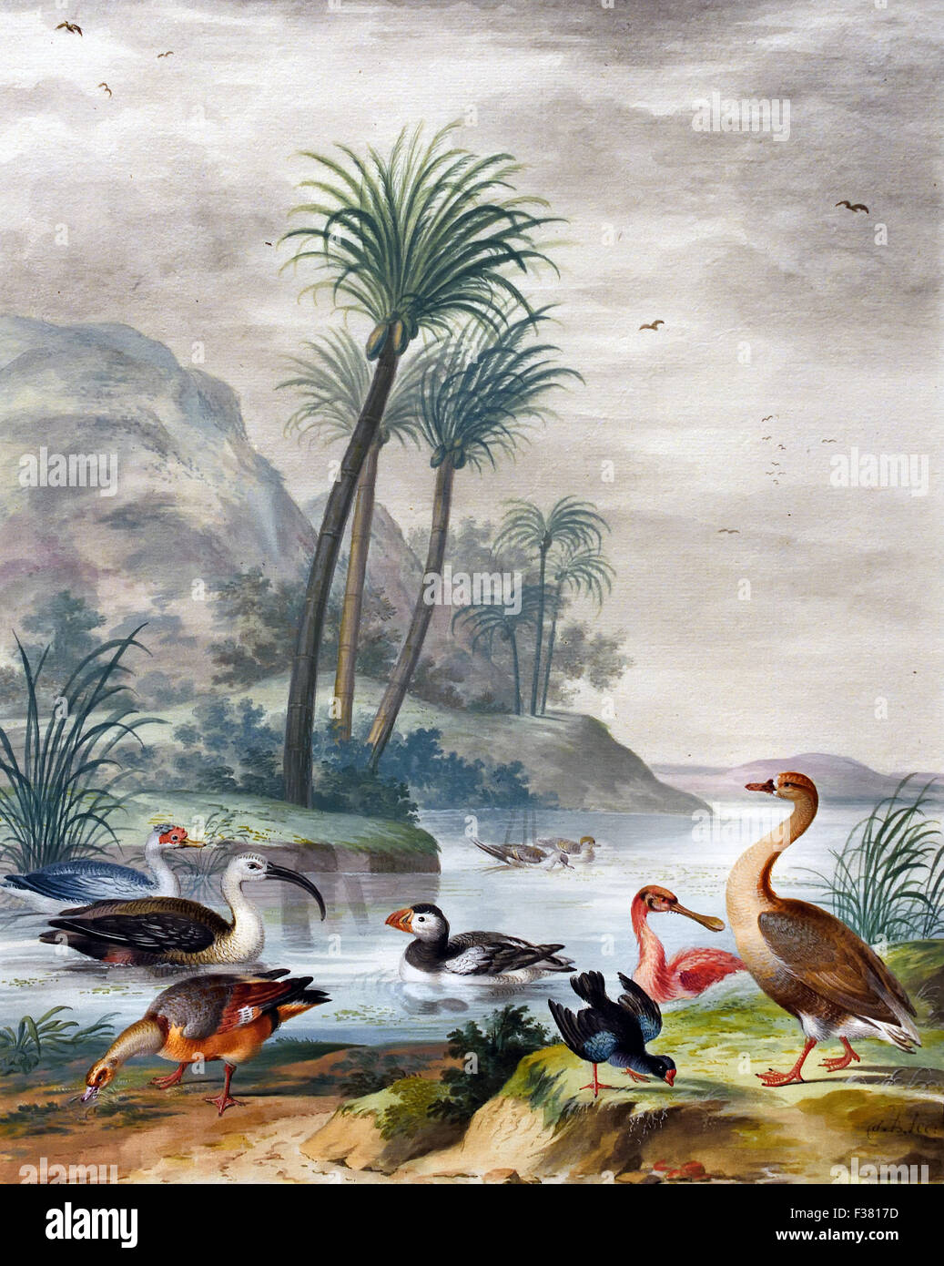 Exotische Wasservögel in einer Landschaft-1668 (Gouache) Johannes Bronckhorst 1648-1727 niederländischen Niederlande Stockfoto