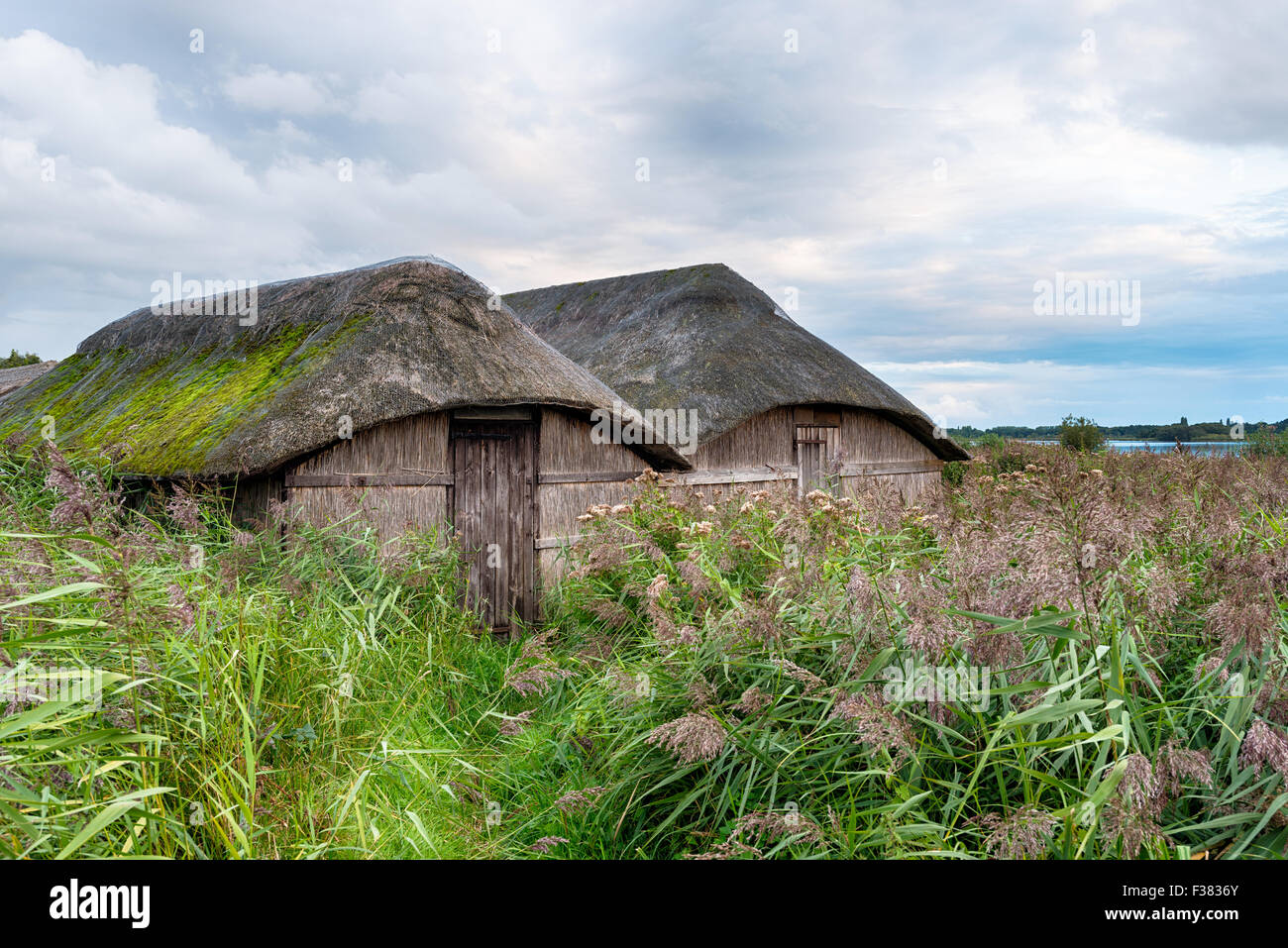 Strohgedeckten Hütten im Schilf auf Hickling Broad in Norfolk Stockfoto