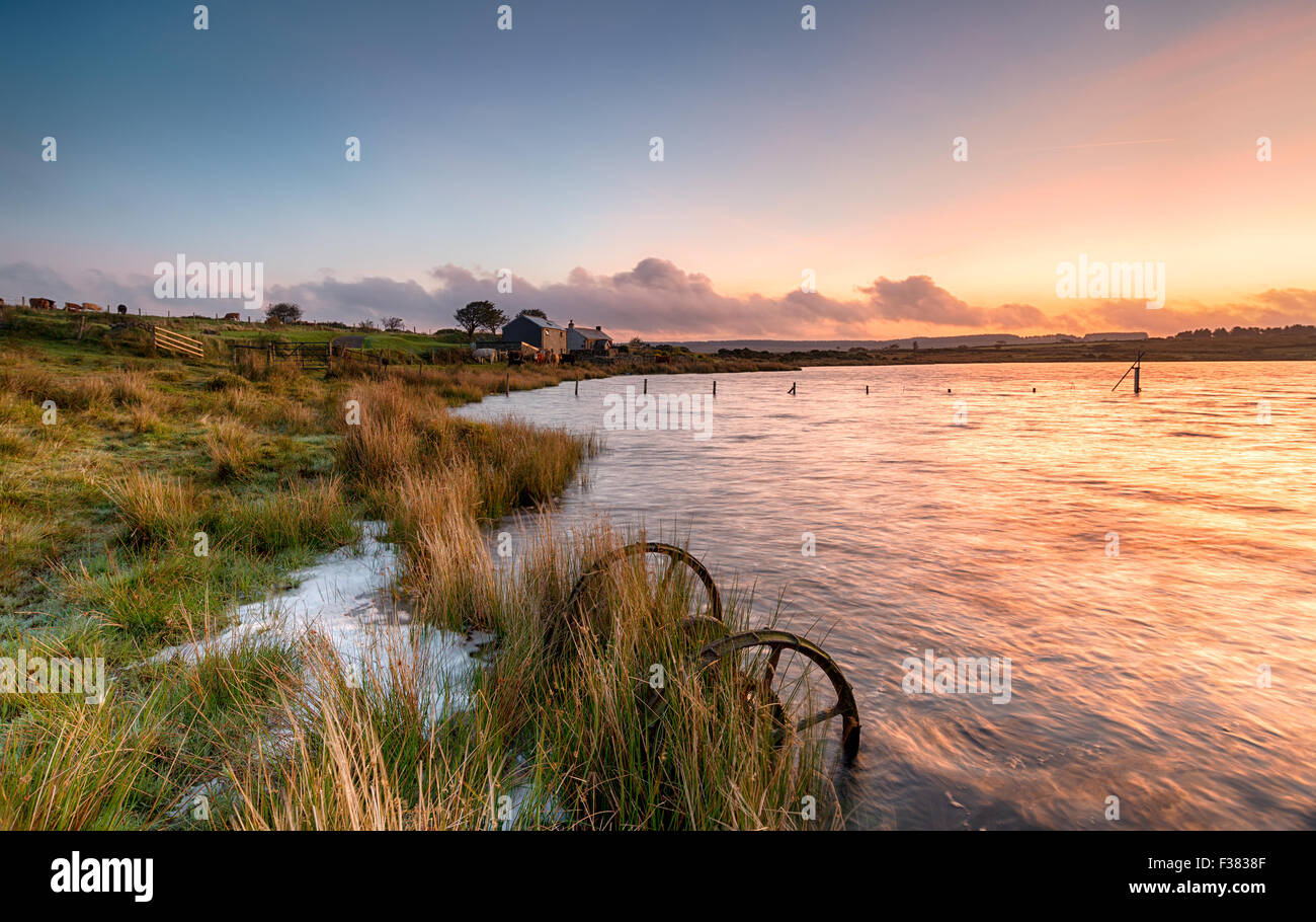 Sonnenaufgang am Dozmary Pool, einen kleinen natürlichen See in Bodmin Moor in Cornwall Stockfoto