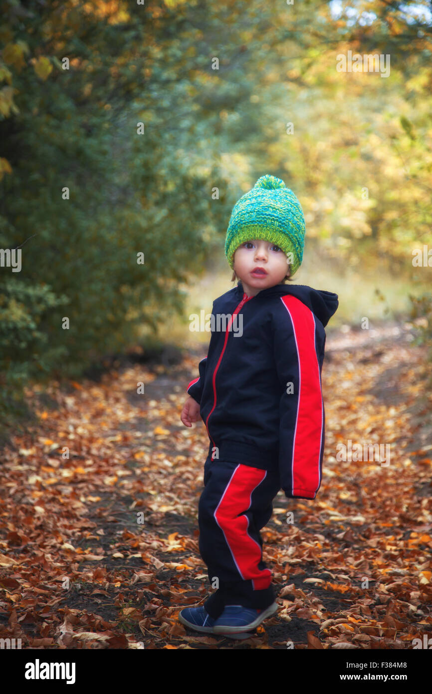 Porträt des 1-jährigen Jungen bei einem Spaziergang im Wald im Herbst. Stockfoto