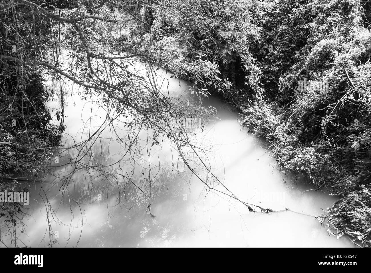 der Bach im Dschungel, die schwarzen und weißen Hintergrund Stockfoto