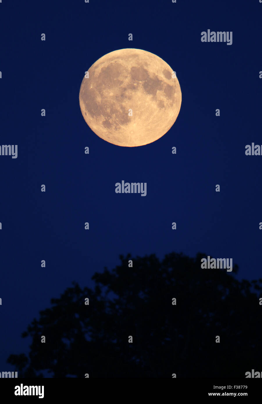 Mond natürlichen Satelliten Stockfoto