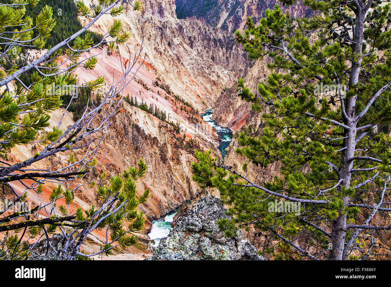 Im Yellowstone National Park, The Yellowstone Fluss fließt durch den Grand Canyon des Yellowstone. Stockfoto