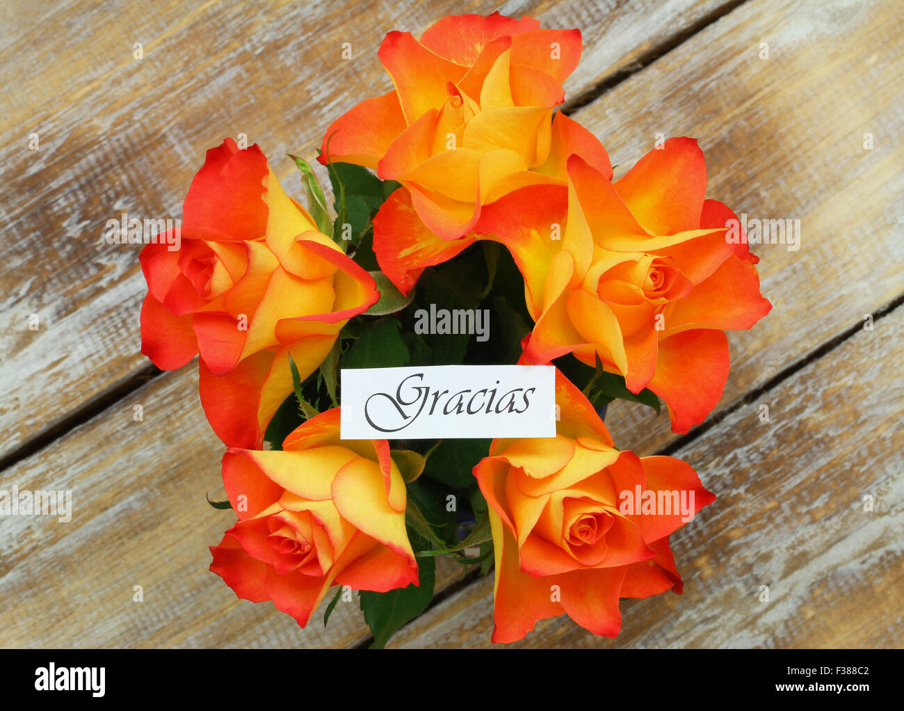 Gracias (d.h. danke auf Spanisch) Karte mit orange Rosen Stockfoto