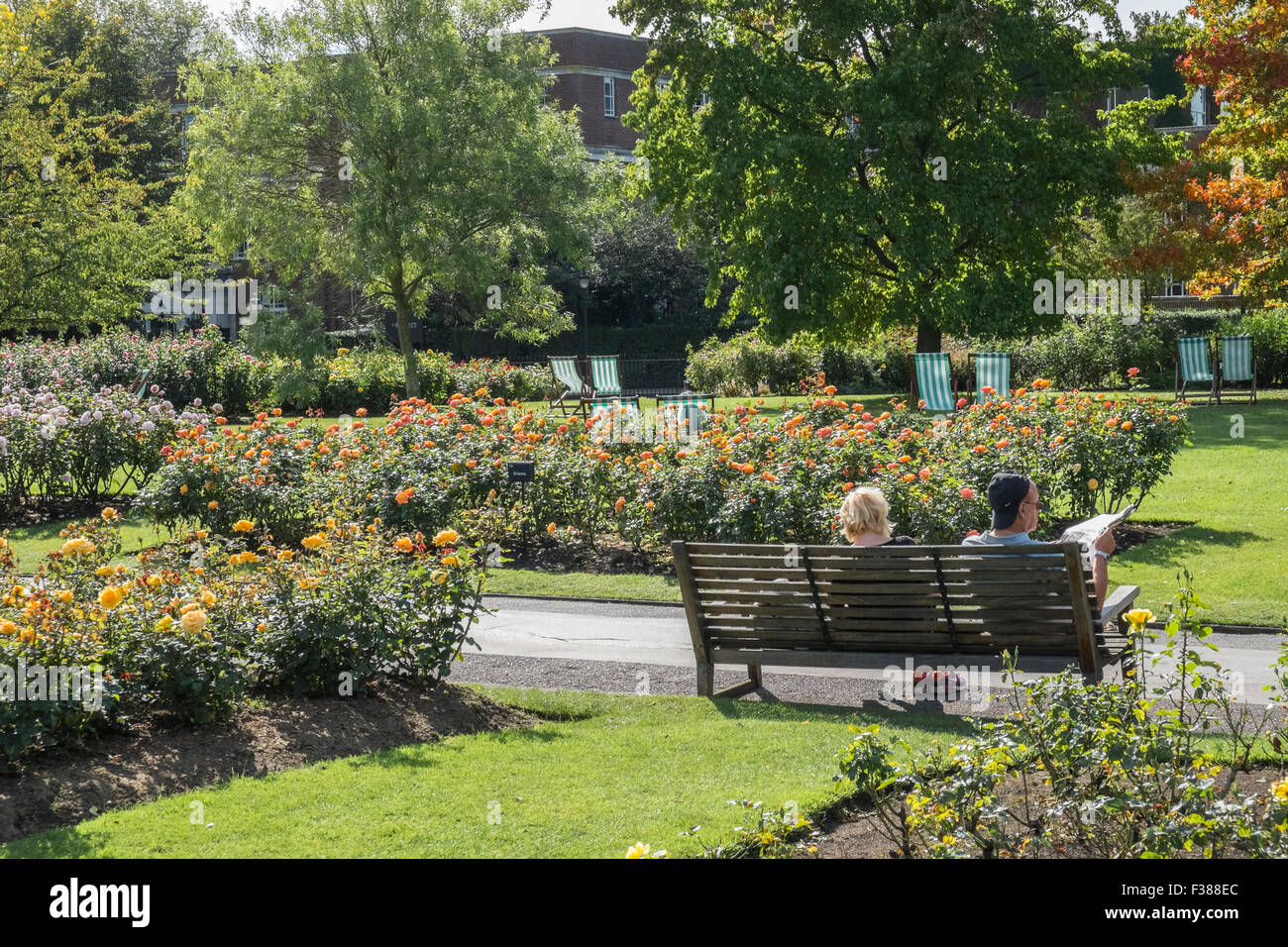 Menschen, die genießen Spätsommer-Sonnenschein im Regents Park Gardens, London, England UK Stockfoto
