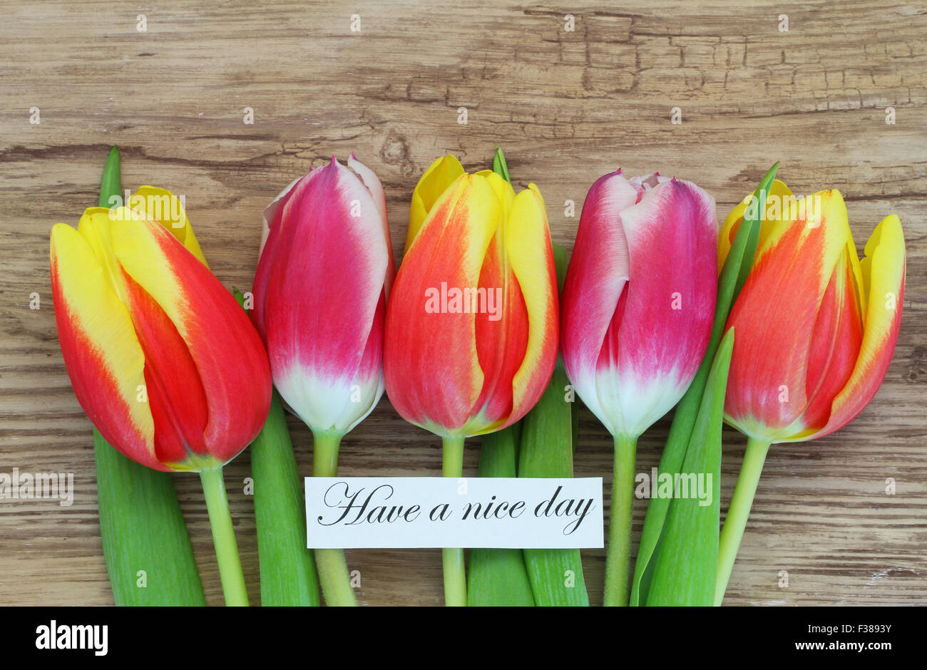 Habe eine schönen Tag-Karte mit bunten Tulpen auf Holzoberfläche Stockfoto