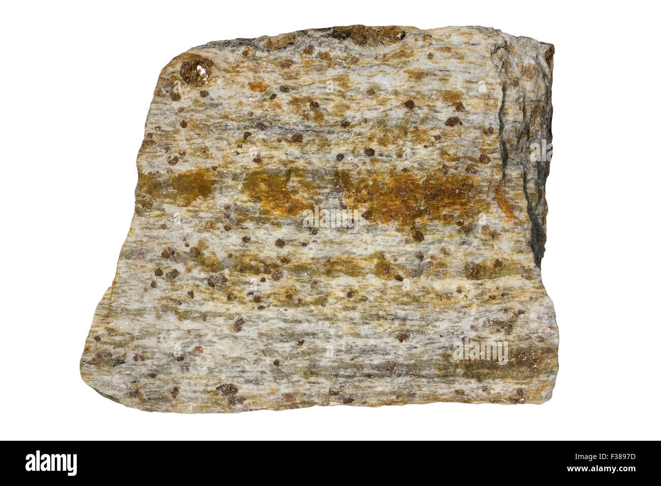 Granulite (Inari Granulite Gürtel) mit Cordierit, Feldspat, Quarz, Granat Stockfoto