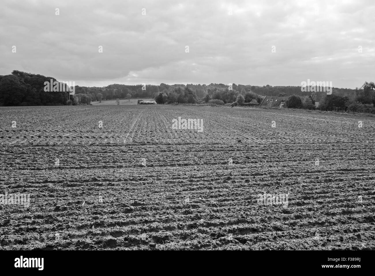 Landwirtschaftlich genutzten Feld mit landwirtschaftlichen Gebäuden im Hintergrund Vereinigtes Königreich Stockfoto
