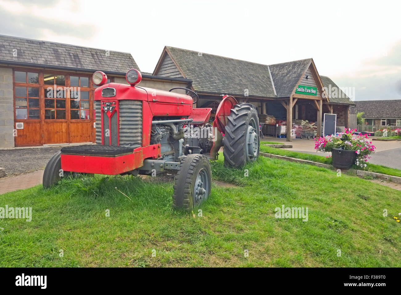 Massy Ferguson Traktor außerhalb Hofladen Vereinigtes Königreich Stockfoto