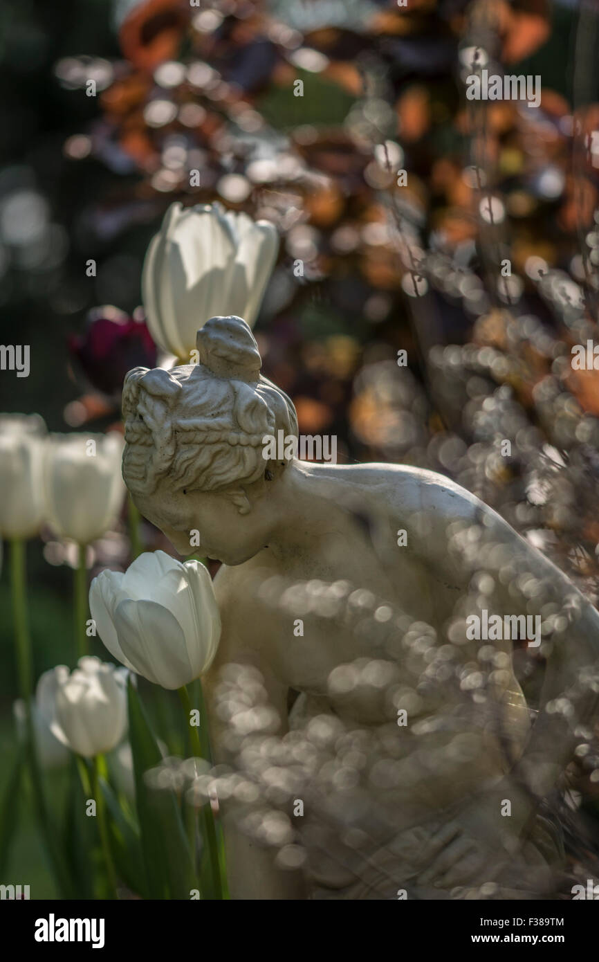 Gartenstatue. Tulpen Grenzen. Stockfoto