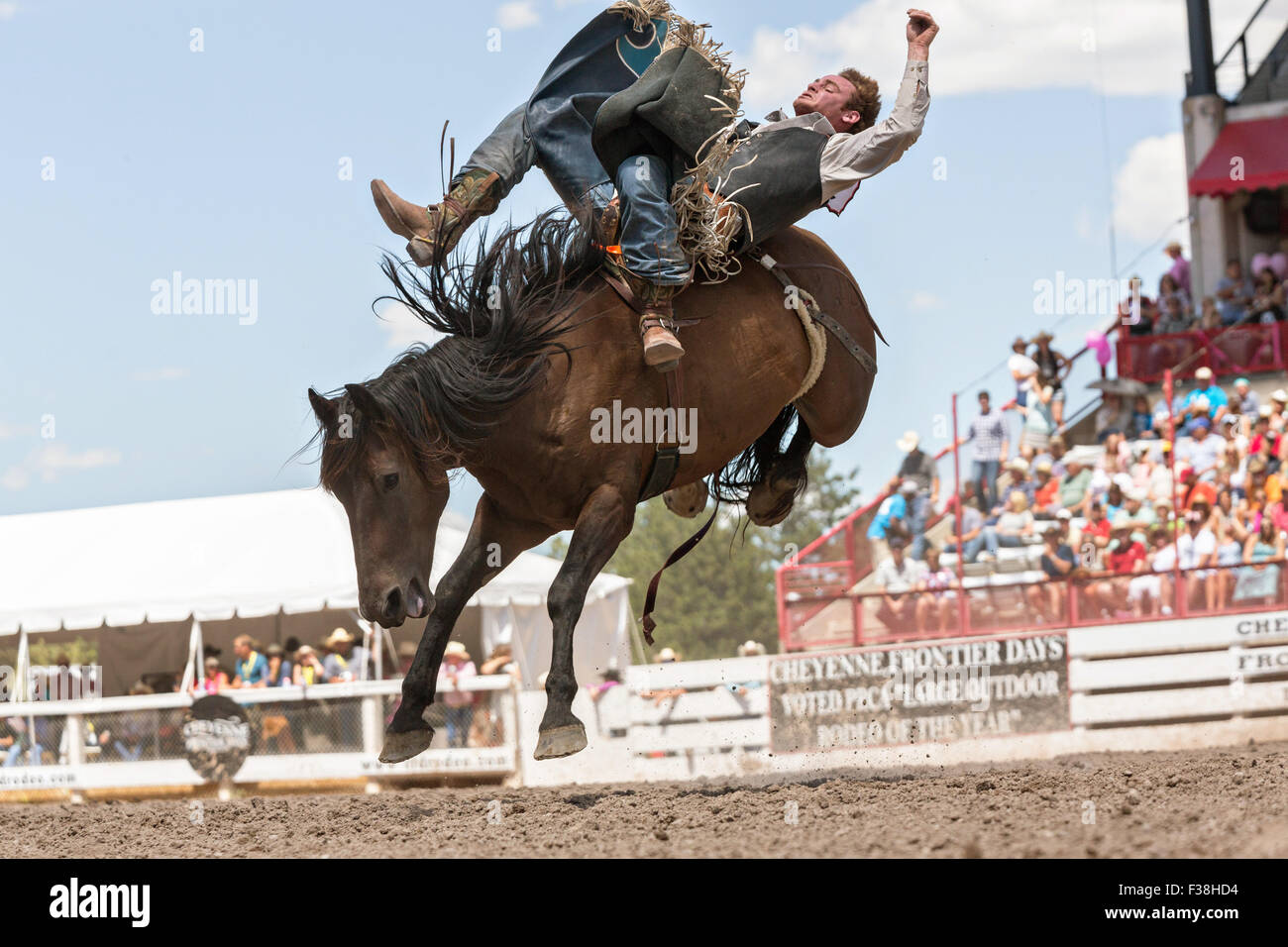 Ein Bronco-Fahrer hängt während Bareback Riding im Cheyenne Frontier Days Rodeo in Frontier Park Arena 23. Juli 2015 in Cheyenne, Wyoming. Frontier Days feiert die Cowboy Traditionen des Westens mit einem Rodeo, Parade und Fair. Stockfoto