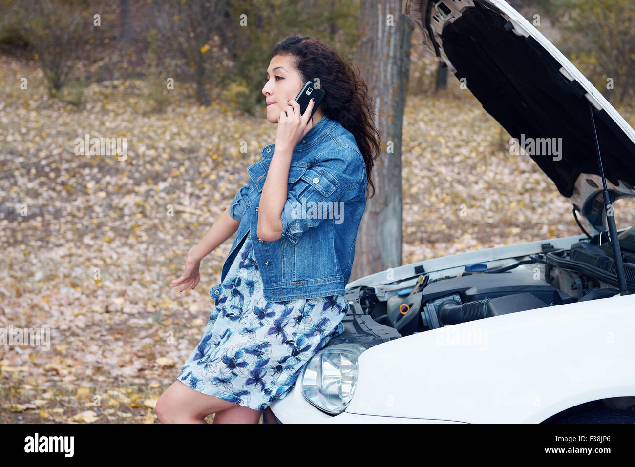 Frau mit kaputten Auto sprechen am Telefon mit Kapuze Stockfoto