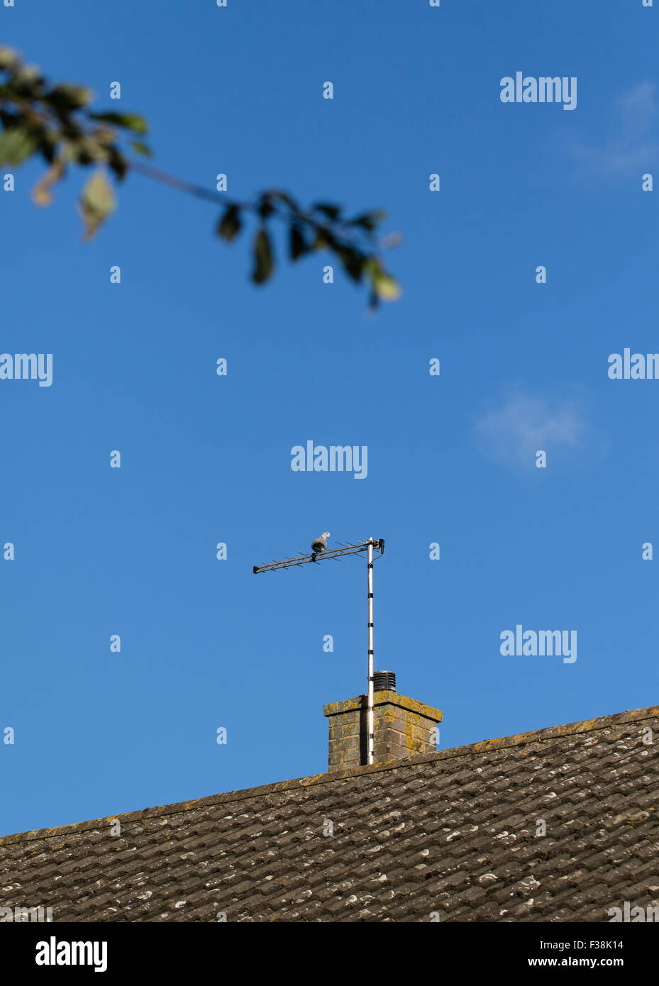 Vorstadthaus auf dem Dach zeigt TV Antenne an den Schornstein angeschlossen Stockfoto