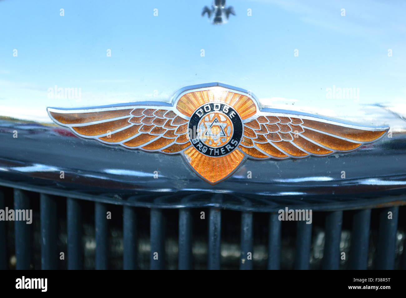 Der Dodge Brothers-Emblem auf einem Vintage Dodge Auto. Stockfoto