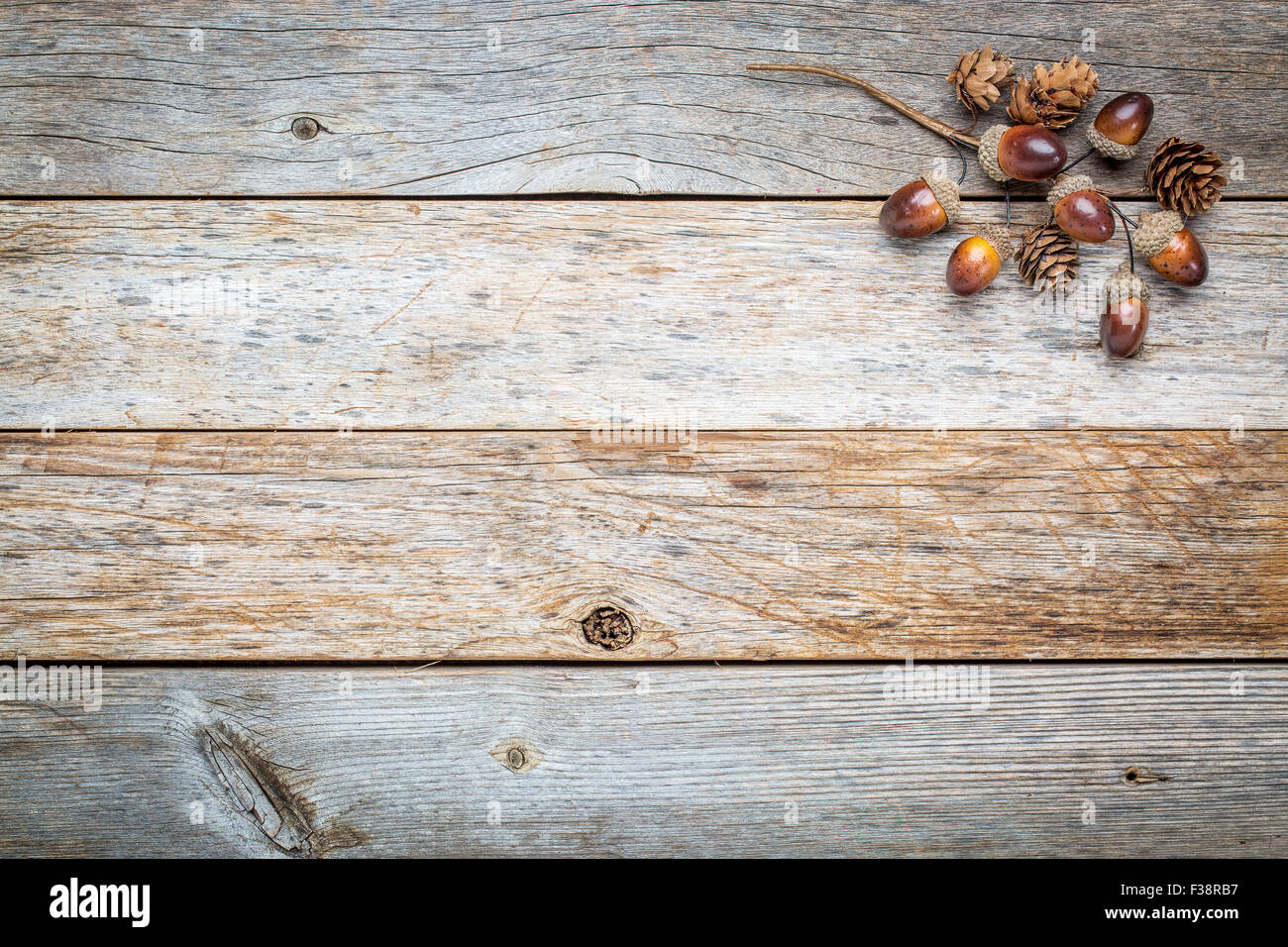 verwitterte Scheune Holz Hintergrund mit Eicheln und Zapfen fallen Dekoration Stockfoto