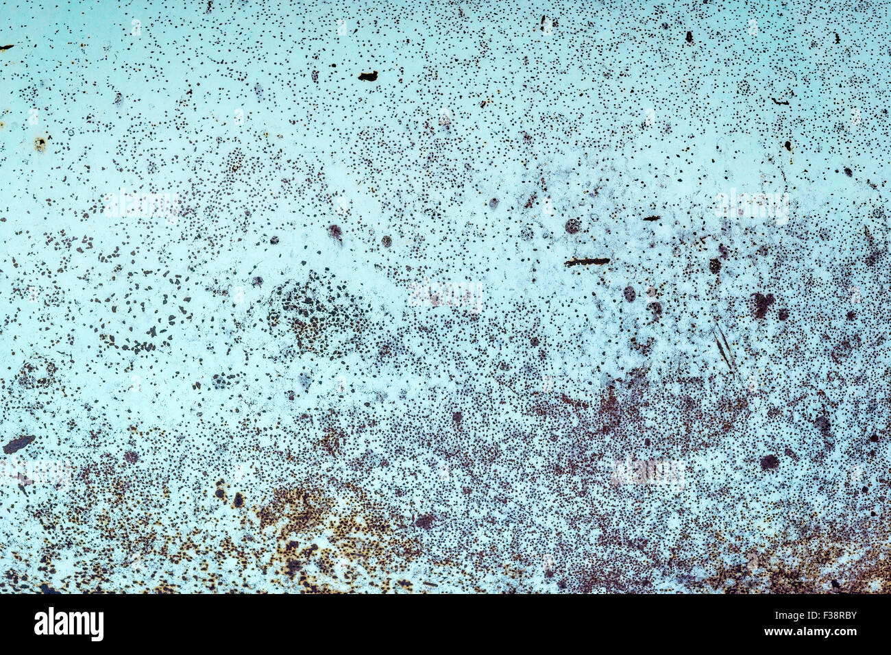 Nahaufnahme der alten Grunge Metall Auto Körper Textur mit blauen Farben und Roststellen Stockfoto