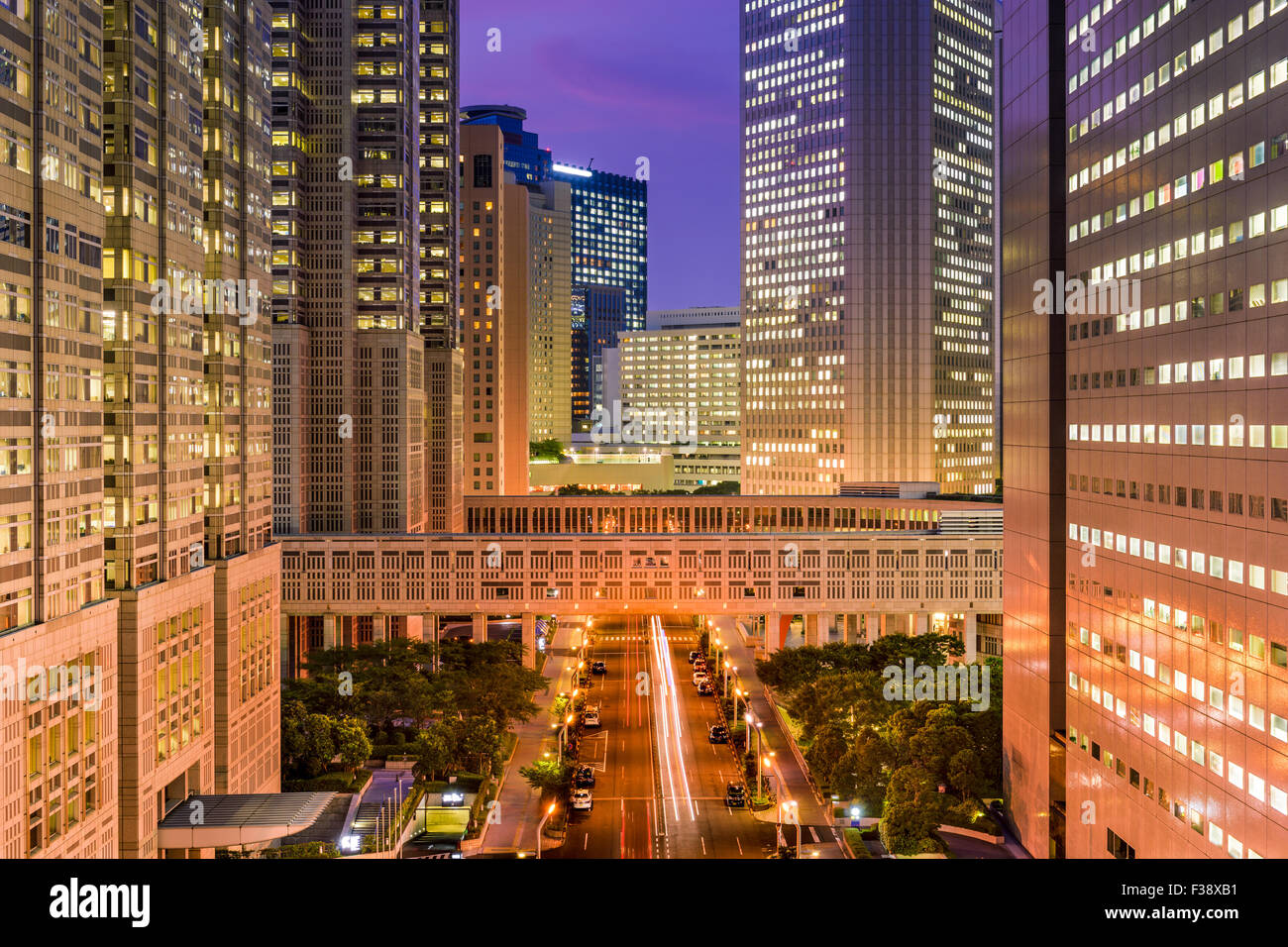 Tokyo, Japan Regierungsgebäude am Tochomae im Bezirk Shinjuku. Stockfoto