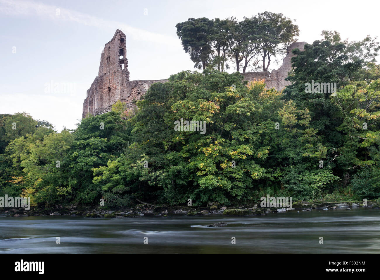 River Tees, Barnard Castle, Teesdale, County Durham. Freitag, 2. Oktober 2015, UK Wetter. Die ersten Anzeichen des Herbstes sind an den Bäumen unter den Städten Burg erscheinen. Im Allgemeinen war es eine kalte Start in den Tag für Nordengland mit einigen Teilen Frost erleben. Temperaturen sind erwartete Erholung im Laufe des morgens und es wird voraussichtlich eine weitere schöne Herbsttag. Bildnachweis: David Forster/Alamy Live-Nachrichten Stockfoto