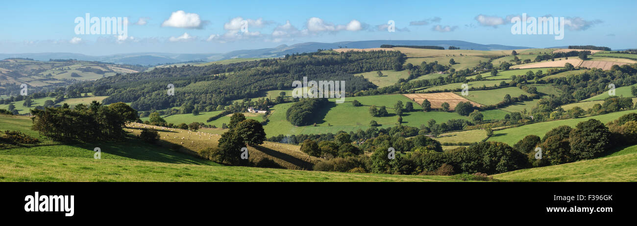 Eine panoramische Ansicht von Stonewall Hügel auf dem Herefordshire - Wales Grenze nahe Knighton, Powys, UK, Blick nach Westen in Wales Stockfoto
