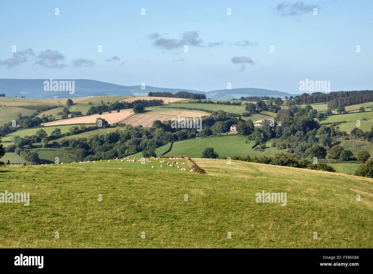 Ein Blick von Stonewall Hill auf Herefordshire - Wales Grenze nahe Knighton, Powys, UK, Blick nach Westen in Wales Stockfoto