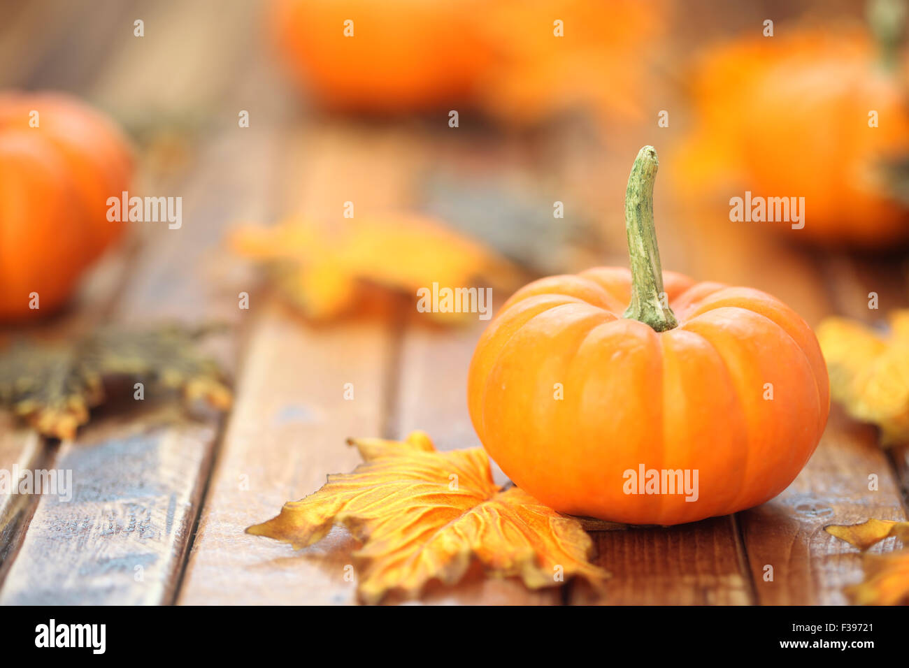 Herbst-Kürbis-Hintergrund Stockfoto