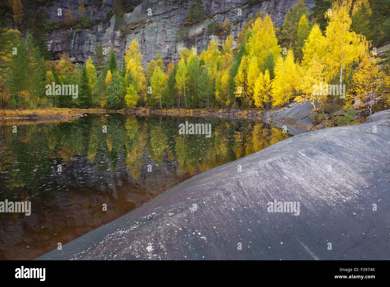Farben des Herbstes über den Reinsfoss-Wasserfällen in Nissedal, Telemark Fylke, Norwegen. Stockfoto
