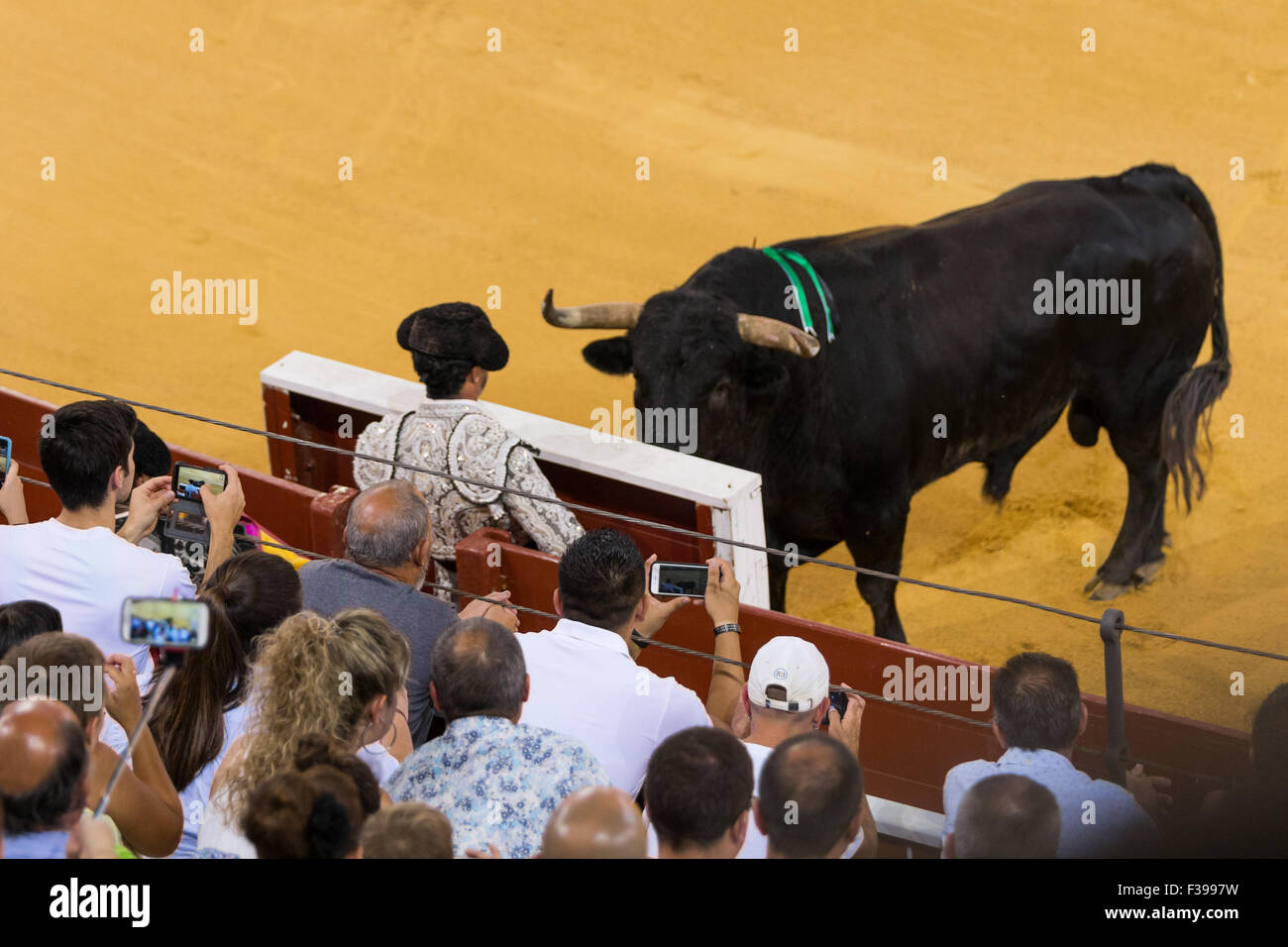 Stierkampf in Spanien / Corrida de Toros de España Stockfoto
